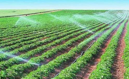 搞j啊啊啊视频在线观看农田高 效节水灌溉